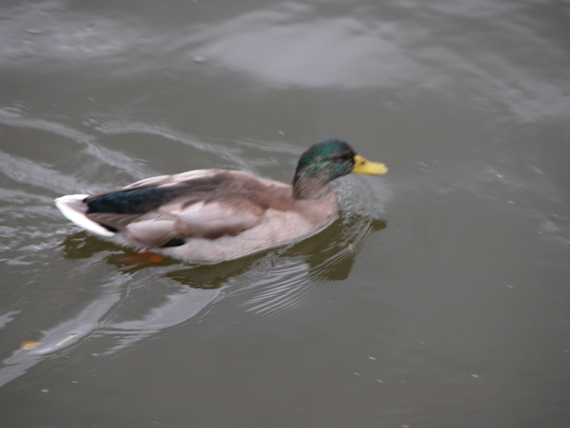 nottunilake011.jpg