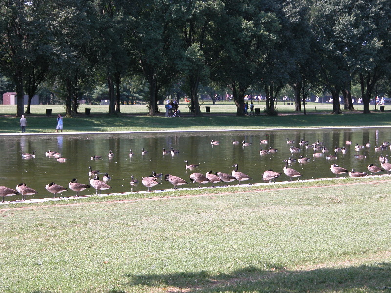 washingtondc_014.jpg